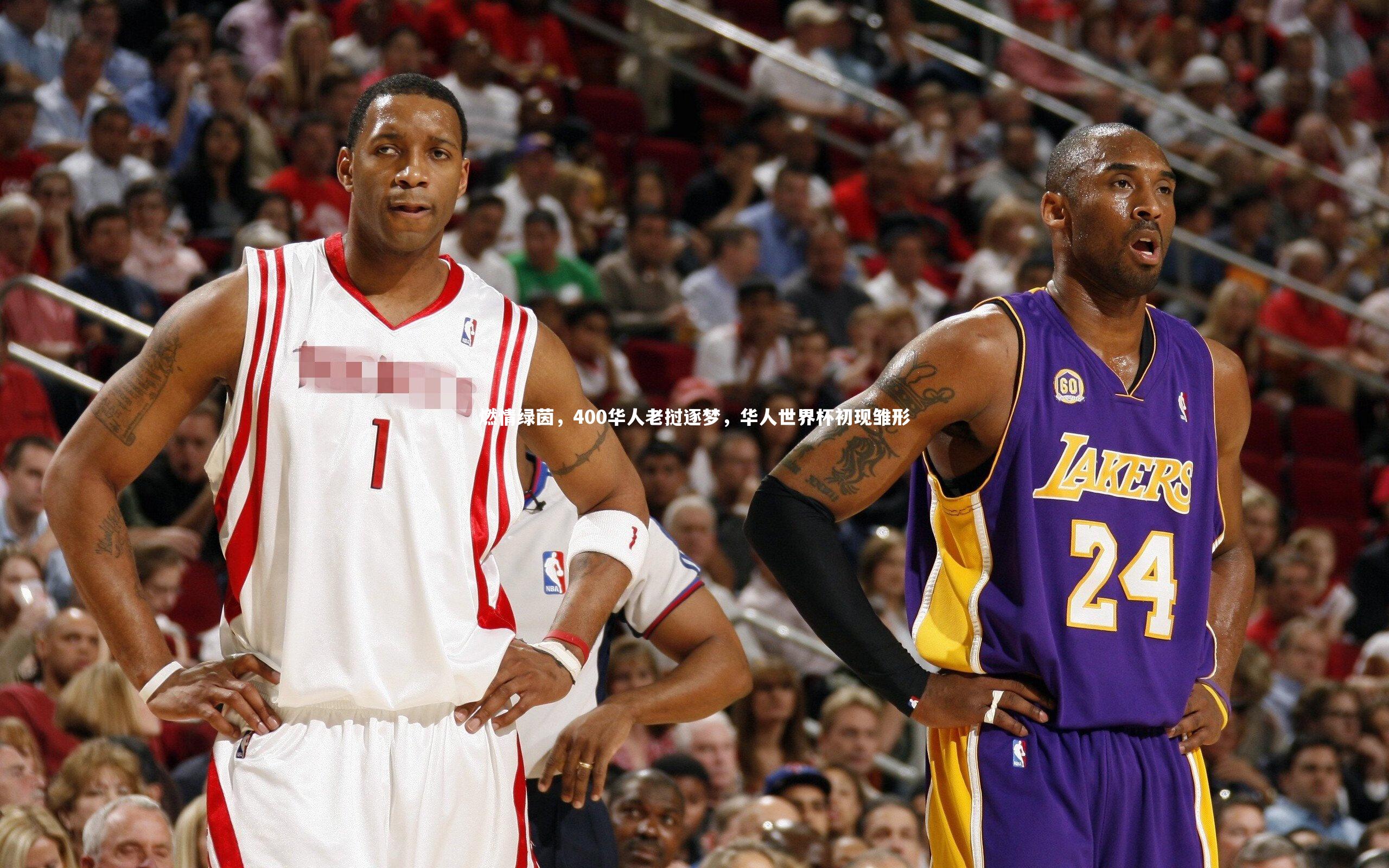 开云体育平台_燃情绿茵，400华人老挝逐梦，华人世界杯初现雏形